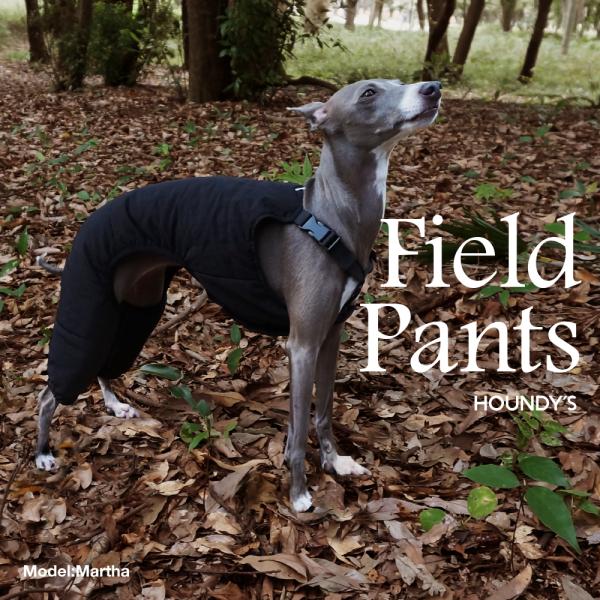 Magイタグレ服 athos_igfielddownpants