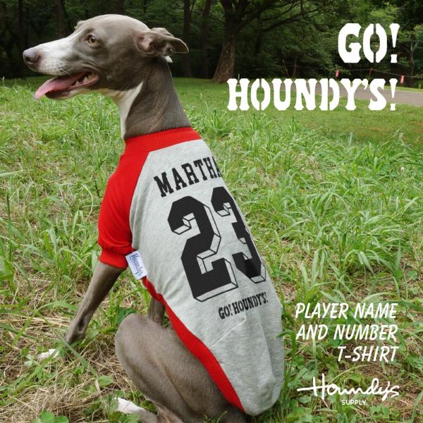 C^O   wԍl[ OTVc C^AOCnEh [ 