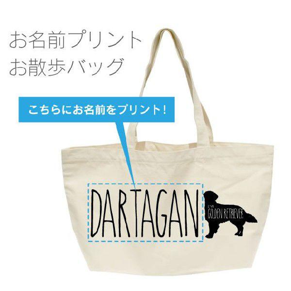 S[fgo[ VGbgꂨUobOi^ j[ 