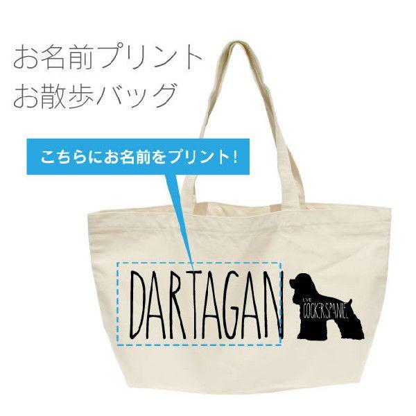 RbJ[XpjG VGbgꂨUobOi^ ji[ j