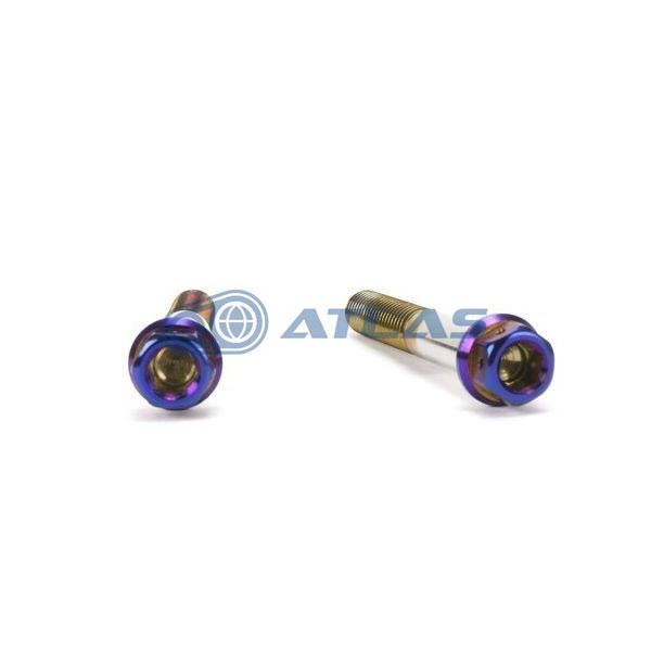 Star Bolt CNC加工 ヘキサゴンヘッド SUS PVDチタンコート ボルト M8×55mm P1.25mm 焼き色ブルー仕上げ