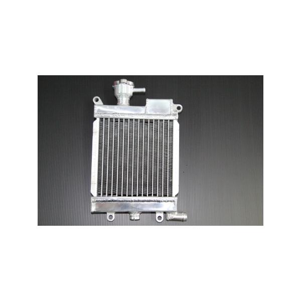 TFC MAJESTY S }WFXeBS I[A~WG[^[