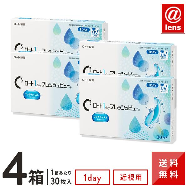 コンタクトレンズ 1DAY ロートワンデーフレッシュビューリッチモイスト 30枚×4箱 送料無料 1日使い捨て