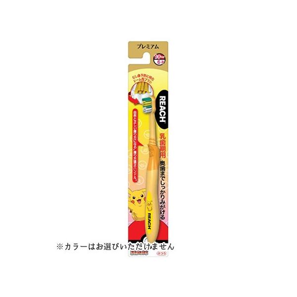 REACH [` v~A LbYuV |P p 1{ F͑Iׂ܂ 1