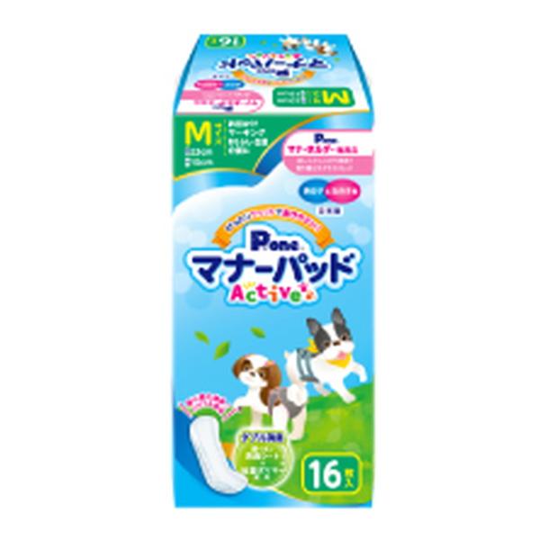 yzq P.one }i[pbh Active MTCY 16 p 1