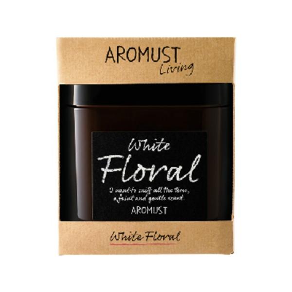 (��������)������ �A���}�X�g ���r���O �z���C�g�t���[���� 265g �A���}�Q�� 1��