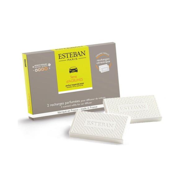 yz{ GXeo ESTEBAN e[_O[ J[tOX tB 2 1