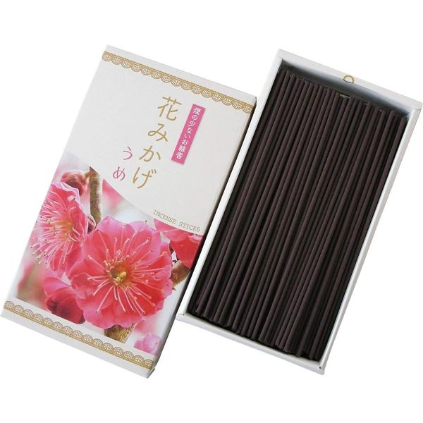  }GX Ԃ݂   100g i4902741304002j