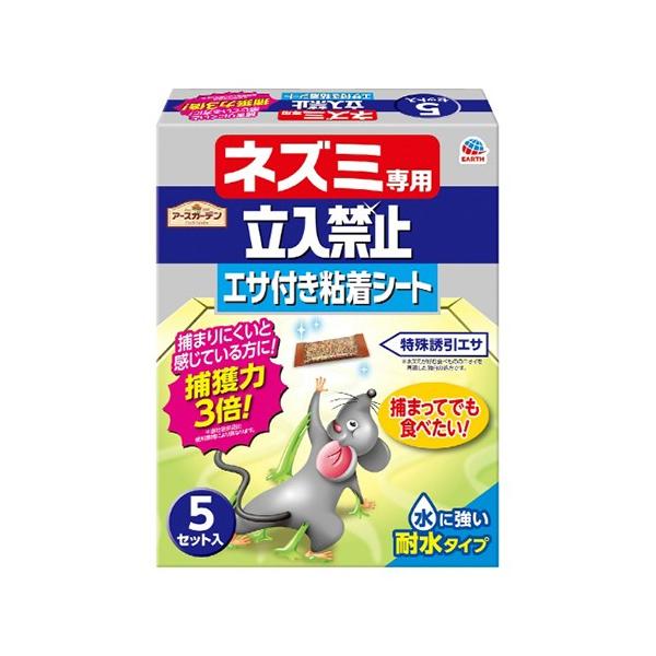 A[X A[XK[f lY~p֎~ GTtSV[g 5Zbg 1