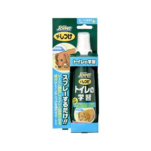 WCybg UE gC̊wK 100ml (4973293000810)