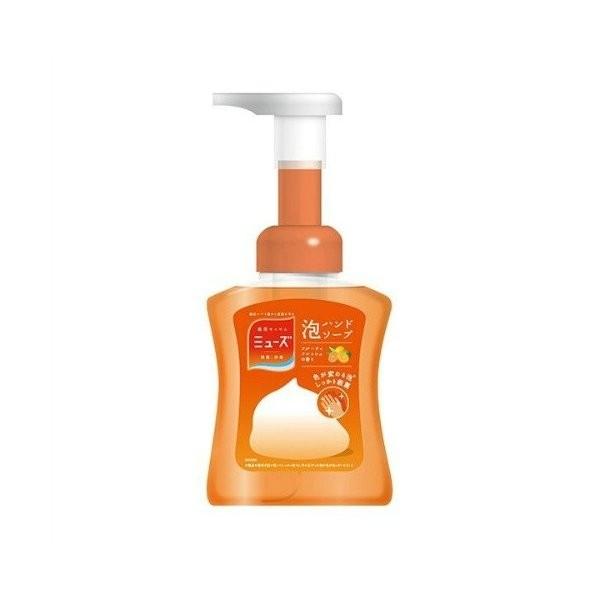 LbhxL[U[ ~[Y A~[Yt[eB[tbV{́y250zi4906156801057j