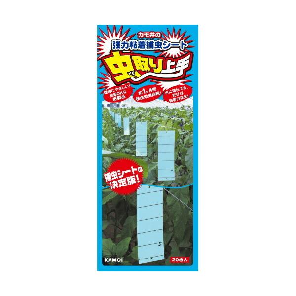 y×2 [֑zJH  ͔SߒV[g F 20