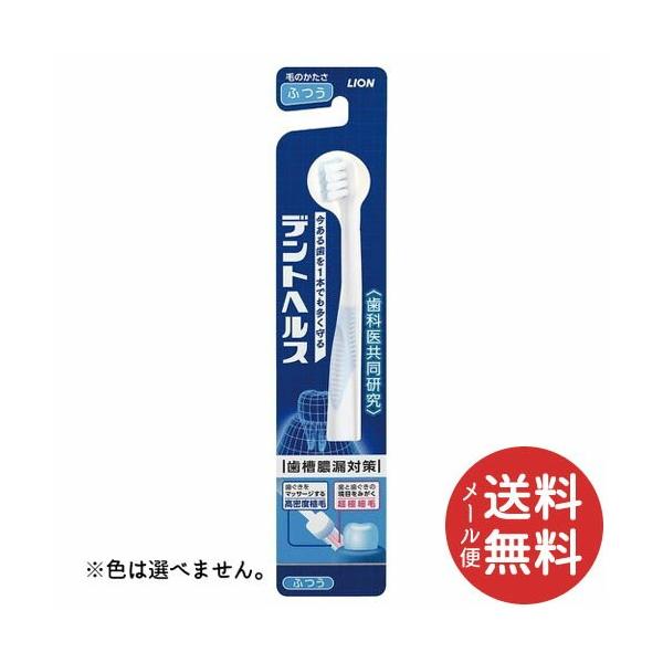 CI fgwX nuV ӂ 1{ F͑Iׂ܂B y[֑z