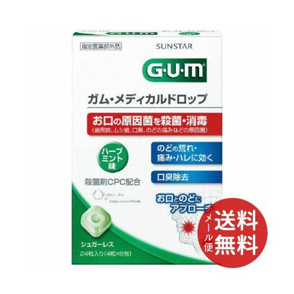 TX^[ GUM K fBJhbv 24 1 y[֑z