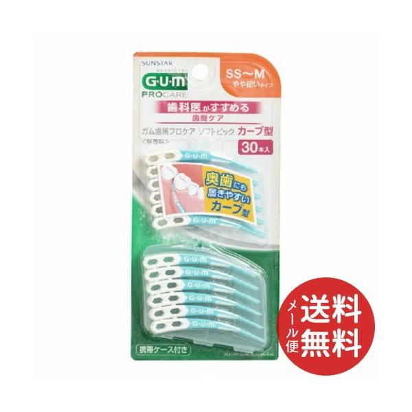 K vPA \tgsbN J[u^ 30P SS-M 1 y[֑z