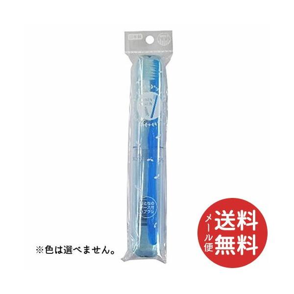 AkV ƂȂ̃P[XtnuV 1{ y[֑z