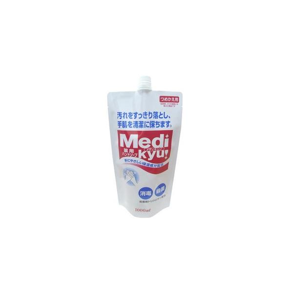 PbgΌ pnh\[v fBLb lߑւ 1000mli4571113800642j ×10_Zbg y܂ƂߔIz