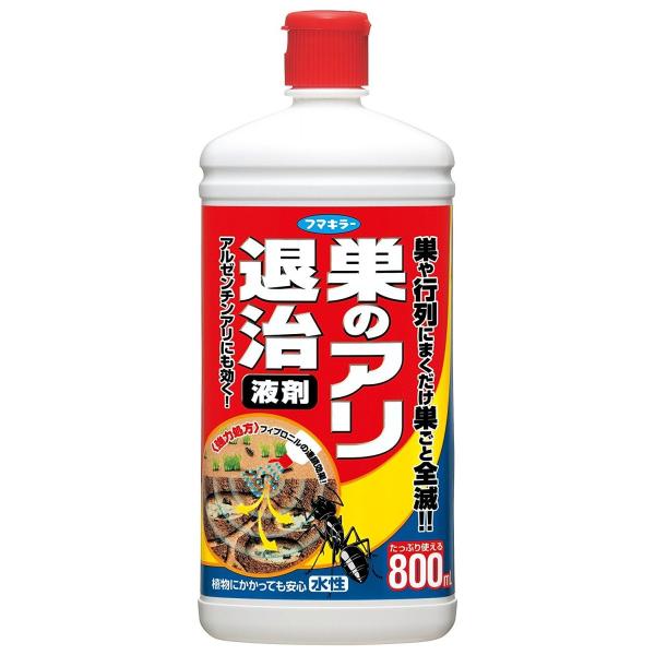 t}L[ ̃Aގ t 800mli4902424424317j ×20_Zbg y܂ƂߔIz