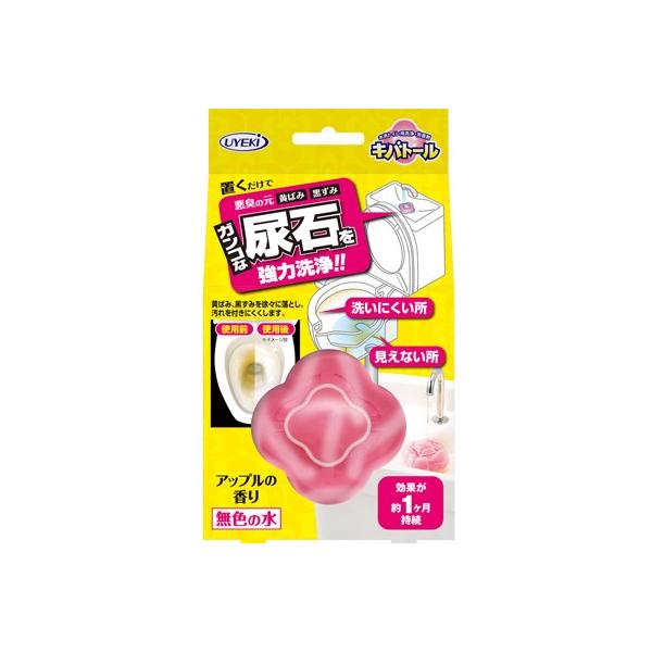 UYEKIiEGLj Log[ 100g Abv̍ gC̔AΖh~EgCp×72_Zbg y܂ƂߔIz