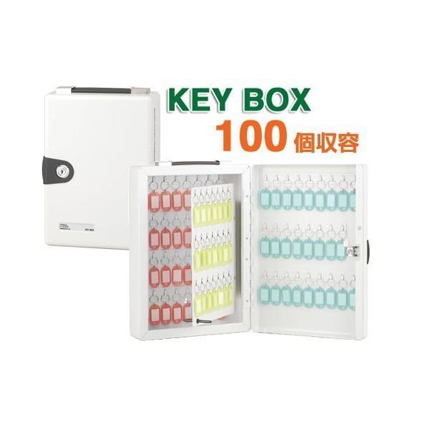 キーボックス 鍵100本収納 壁掛け シリンダー錠 スチール 鍵保管庫 キーホルダー カギ キー 鍵収納 鍵掛け 鍵管理 持ち運び 100本 70本