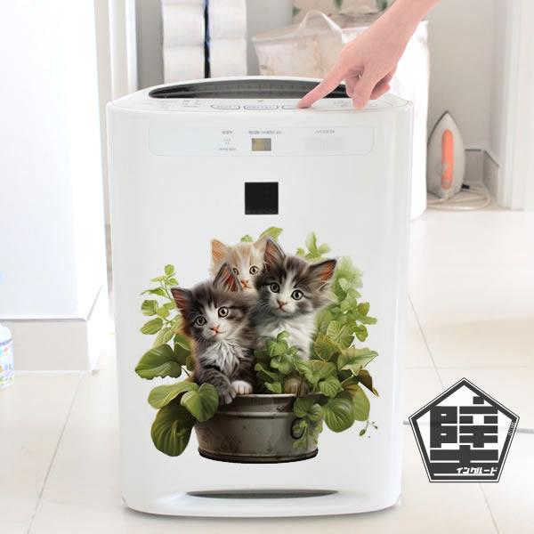 ウォールステッカー アートステッカー Wandering Whale クジラ 鯨 ホエール 動物 子供部屋 魚 海 かわいい メルヘン 物語 海中 宇宙 窓 青い 夏 Atm Atmosphere 通販 Yahoo ショッピング