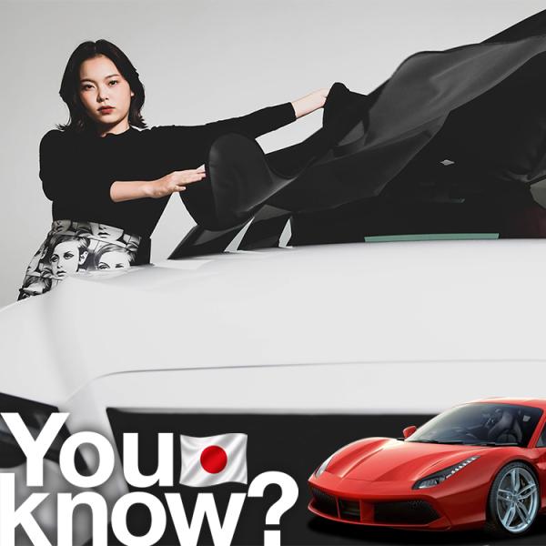 488GTBスパイダー フェラーリ 高級 フロント ガラス カバー 凍結防止サンシェード シート 車用 日よけ 日除け 霜よけ 雪避け 雪 霜 （09ks-00