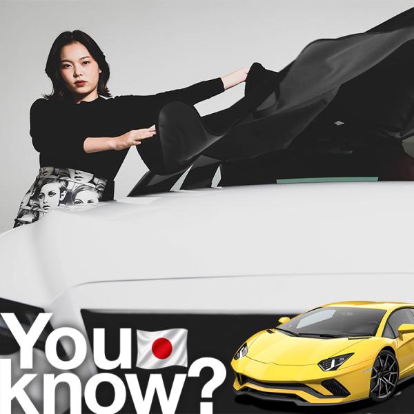 ランボルギーニ アヴェンタドール 高級 フロント ガラス カバー 凍結防止サンシェード シート 車用 日よけ 日除け 霜よけ 雪避け 雪 霜 （09ks-029