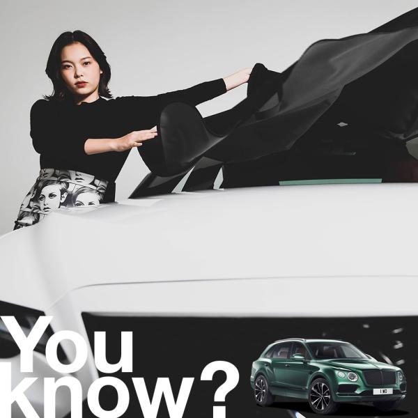 ボディカバー フロントガラスカバー 凍結防止 車の人気商品 通販 価格比較 価格 Com