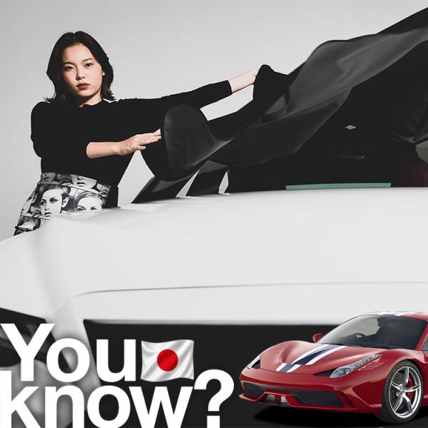 フェラーリ 458 スパイダー 高級 フロント ガラス カバー 凍結防止サンシェード シート 車用 日よけ 日除け 霜よけ 雪避け 雪 霜 （09ks-026-