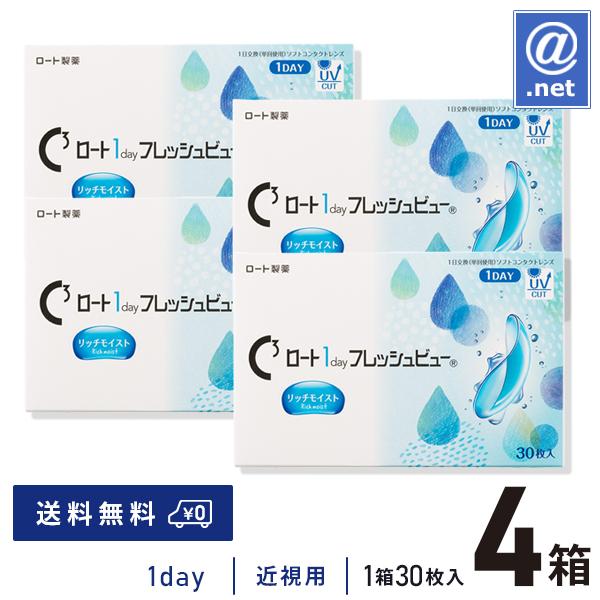 コンタクトレンズ 1DAY ロートワンデーフレッシュビューリッチモイスト 30枚×4箱 送料無料 1日使い捨て