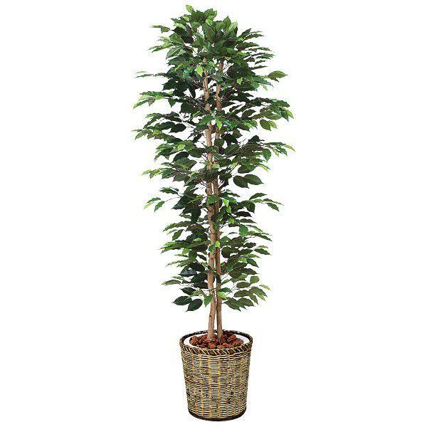 フェイクグリーン 人工植物 光触媒 造花 観葉植物 アートグリーン グリーン 人工観葉植物 観葉植物 店舗 グリーン