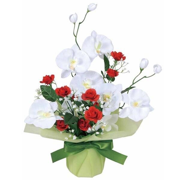 紫 胡蝶蘭の通販 価格比較 価格 Com