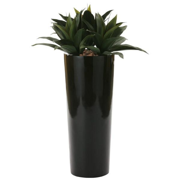 G} tFCNO[ ͂Ȃ ϗtA L R lHϗtA h 105cm LO