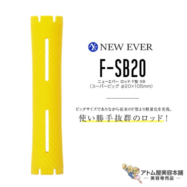 ニューエバー ロッド F型 スーパービッグ F-SB20（10本入り／20mm