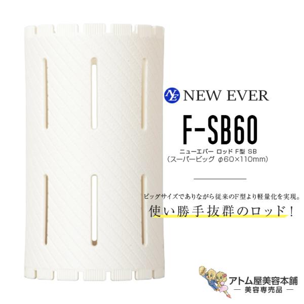 ニューエバー ロッド F型 スーパービッグ F-SB60（5本入り／60mm×110mm