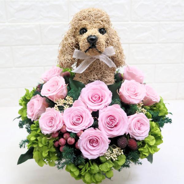Aya.flower　アメリカンコッカースパニエル atorie-hanaclub_americancocker
