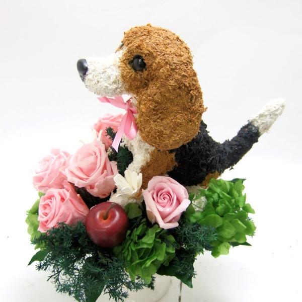 プリザーブドフラワーアレンジ犬 ビーグル Pretty 母の日ギフト 新発売 結婚祝い 誕生日 ギフト 開店祝い ペットのお悔やみ 動物病院開院祝い プレゼント