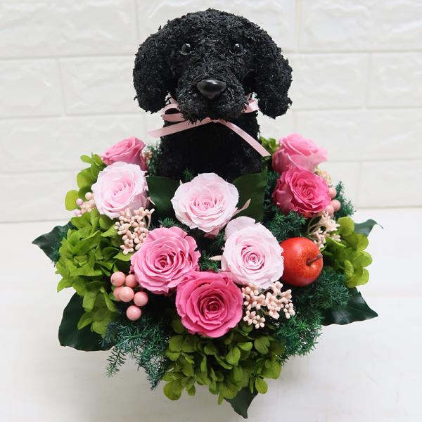 プリザーブドフラワーアレンジ犬 黒ラブラ Cute オープニング 大放出セール 母の日ギフト 結婚祝い 誕生日 ギフト ペットのお悔やみ 動物病院開院祝い プレゼント 開店祝い