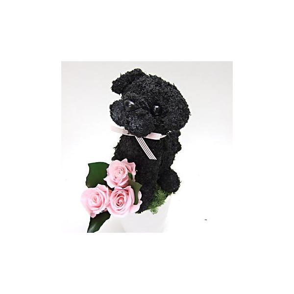プリザーブドフラワーアレンジ犬 黒パグ Petit 母の日ギフト 結婚祝い メーカー在庫限り品 誕生日 ペットのお悔やみ プレゼント ギフト 動物病院開院祝い 開店祝い
