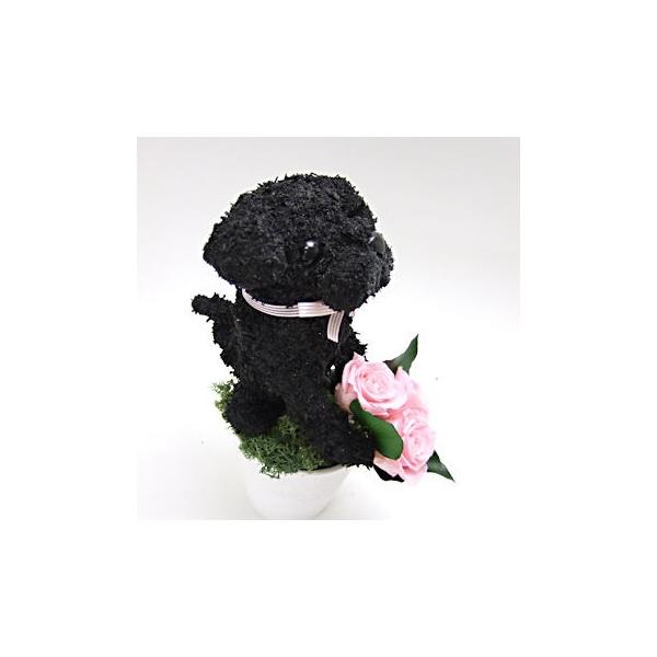 プリザーブドフラワーアレンジ犬 黒パグ Petit 母の日ギフト 結婚祝い メーカー在庫限り品 誕生日 ペットのお悔やみ プレゼント ギフト 動物病院開院祝い 開店祝い