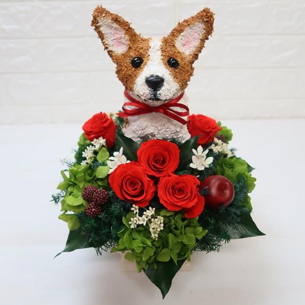 プリザーブドフラワーアレンジ犬 コーギー Pretty クリスマス 結婚祝い 誕生日 ギフト プレゼント 開店祝い 動物病院開院祝い ペットのお悔やみ Buyee Buyee 提供一站式最全面最专业现地yahoo Japan拍卖代bid代拍代购服务 Bot Online