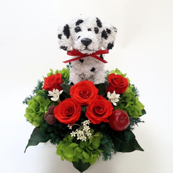 プリザーブドフラワーアレンジ犬 ダルメシアン Pretty 母の日ギフト 結婚祝い 誕生日 ギフト プレゼント