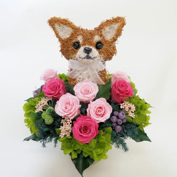 プリザーブドフラワーアレンジ犬 ロングコートチワワ 再入荷 予約販売 Cute 母の日ギフト 結婚祝い 誕生日 開店祝い ギフト 動物病院開院祝い プレゼント ペットのお悔やみ