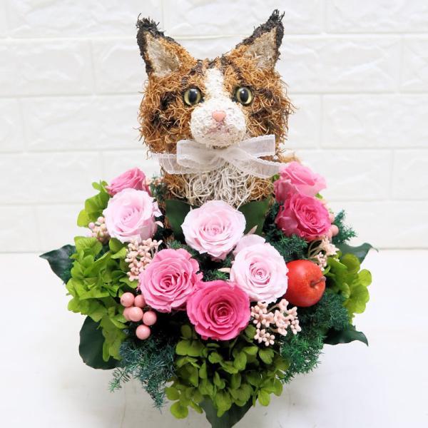 プリザーブドフラワーアレンジ猫 メインクーン Cute 結婚祝い 誕生日