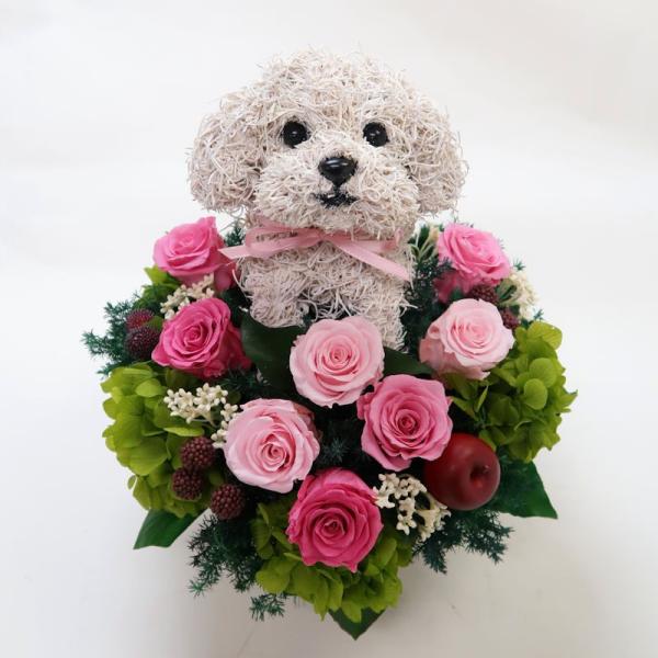 プリザーブドフラワー犬 マルチーズ トピアリーcute 結婚祝い 誕生日 ギフト プレゼント 開店祝い 動物病院開院祝い ペットのお悔やみ Buyee Buyee 日本の通販商品 オークションの代理入札 代理購入