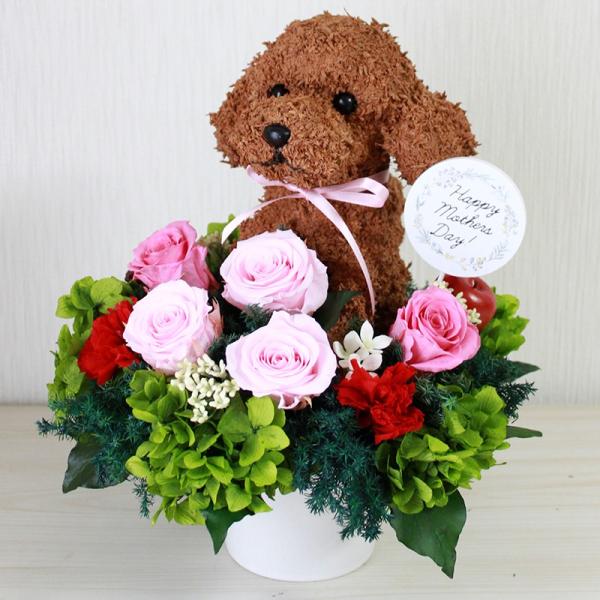 母の日ギフト 犬のプリザーブドフラワー プードルをプレゼントに Buyee Buyee Japanese Proxy Service Buy From Japan Bot Online