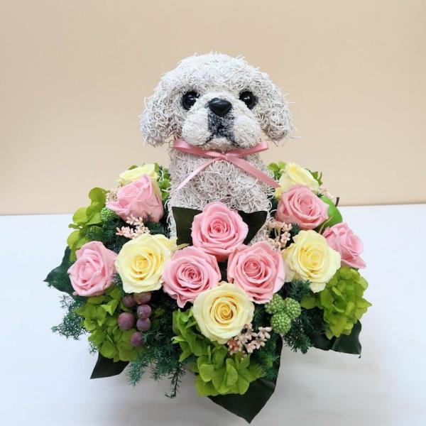 セットアップ プリザーブドフラワーアレンジ犬 ペキニーズ Beauty 母の日ギフト 結婚祝い 誕生日 ギフト ペットのお悔やみ 動物病院開院祝い プレゼント 開店祝い