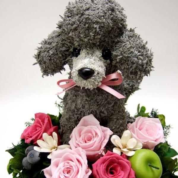 プリザーブドフラワー犬 プードルカットのプードル Pretty 母の日ギフト 結婚祝い 誕生日 開店祝い 動物病院開院祝い ギフト マーケティング プレゼント ペットのお悔やみ