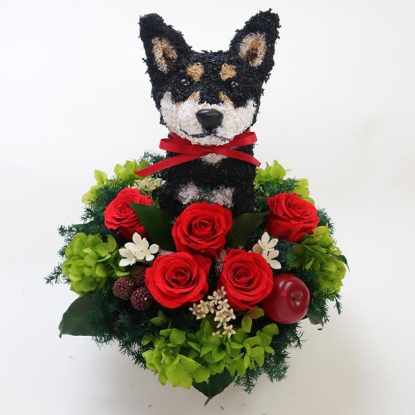プリザーブドフラワーアレンジ犬 黒柴犬 Pretty 母の日ギフト 結婚祝い 誕生日 ギフト プレゼント 開店祝い 動物病院開院祝い ペットのお悔やみ