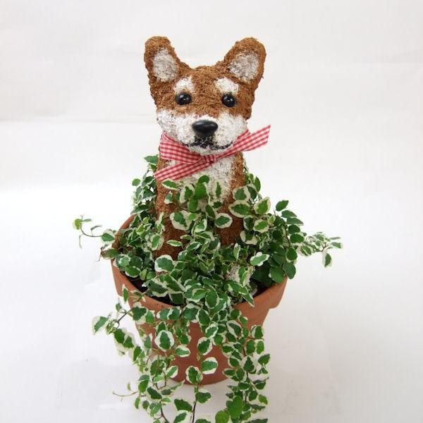 柴犬 水苔トピアリー 鉢植え 結婚祝い 誕生日 ギフト プレゼント 開店